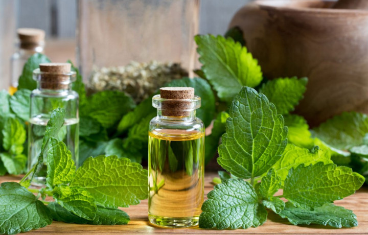 Как подготовить к сезону (лету) - советы от MascotsCosmetics